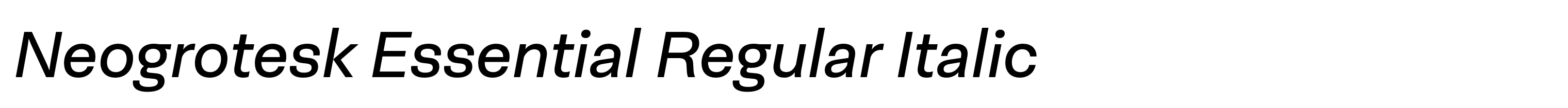 Neogrotesk Essential Regular Italic